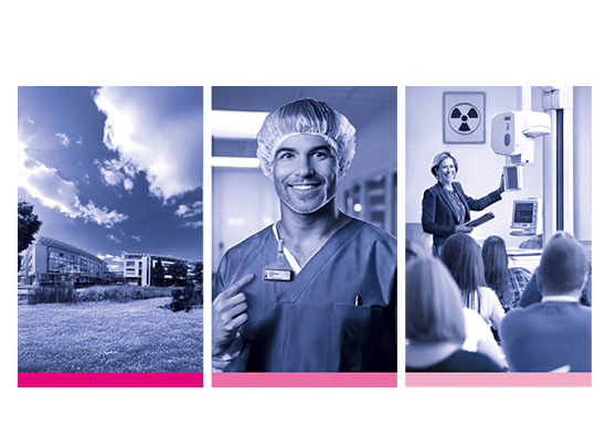 Eine Illustration der Tätigkeitsgebiete der LPS.