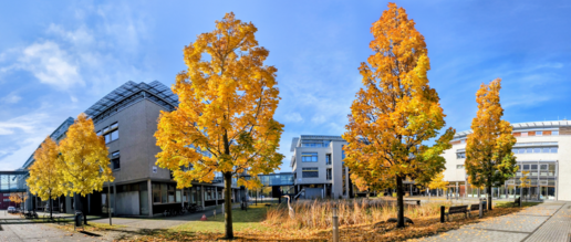 Das Bild zeigt die Häuser 41 und 42 im Innovationspark Wuhlheide.