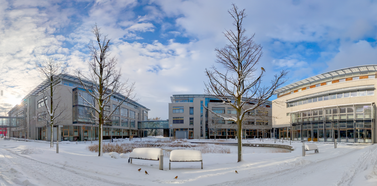 Das Bild zeigt die Häuser 41 und 42 im Innovationspark Wuhlheide.